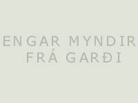 Engar myndir frá garði!